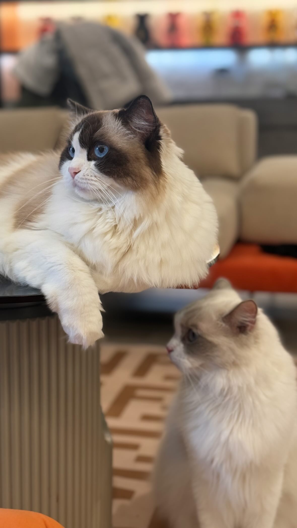 Luna